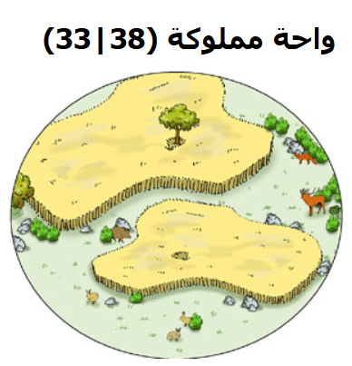 حرب التتار تاتاركو | تم وضع الحد الاعلى للواحات للقرية الواحدة وهو 5 واحات